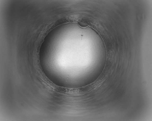 X0000071381201200607071833