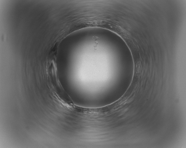 X0000071381202200607071833