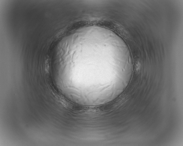 X0000071381204200607071833