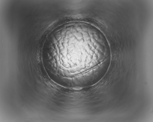 X0000071381205200607071833