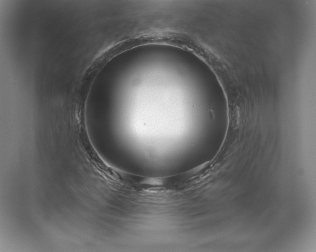 X0000071381206200607071833