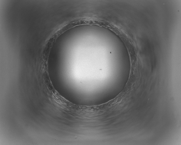 X0000071381207200607071833