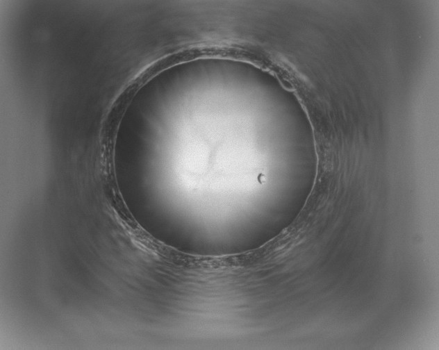 X0000071381208200607071833