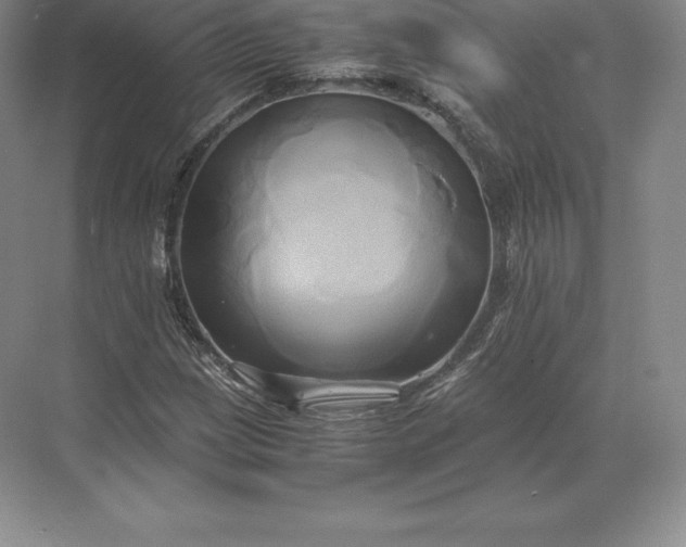 X0000071381209200607071833