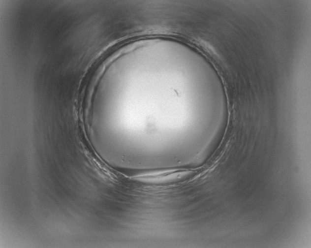 X0000071381212200607071833