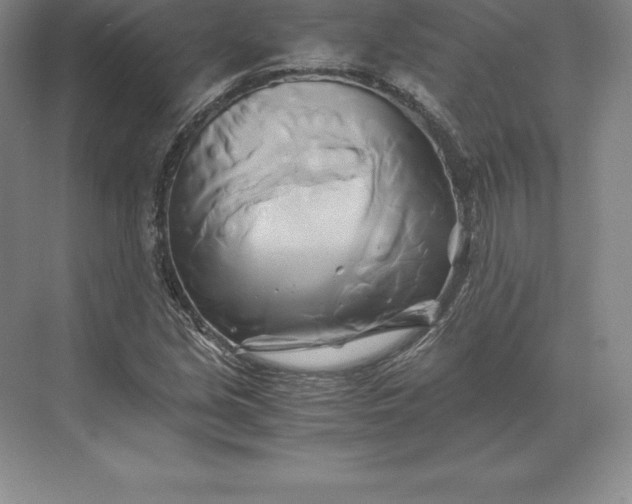 X0000071381213200607071833