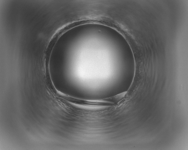 X0000071381214200607071833