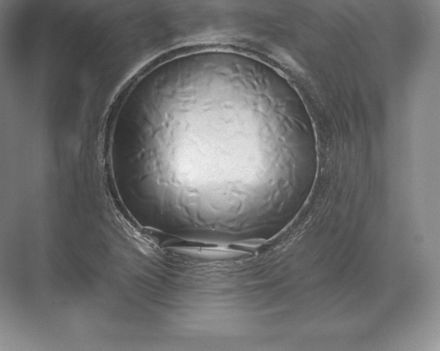 X0000071381216200607071833