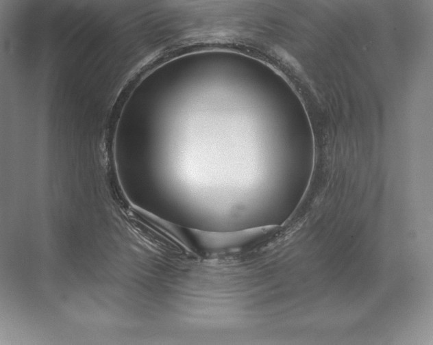 X0000071381218200607071833