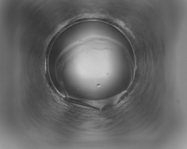 X0000071381221200607071833