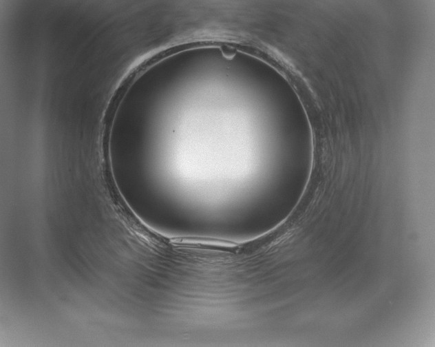 X0000071381222200607071833