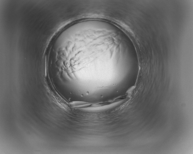 X0000071381223200607071833