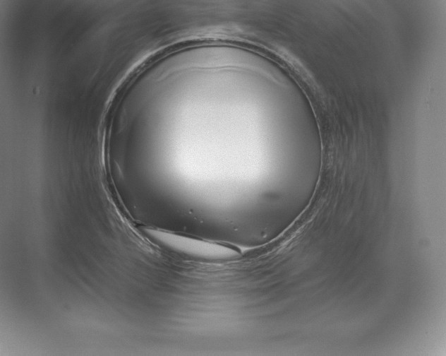 X0000071381224200607071833