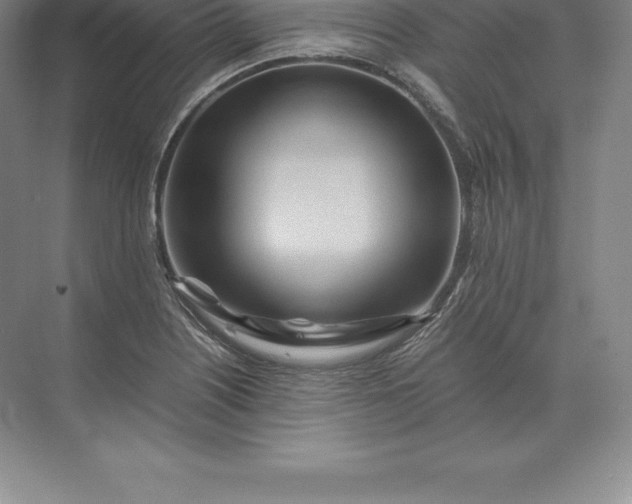 X0000071381226200607071833