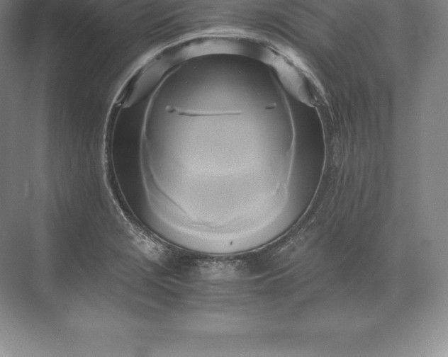 X0000071381229200607071833