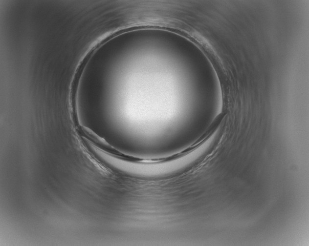 X0000071381230200607071833