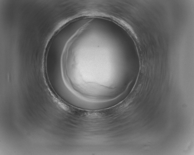 X0000071381231200607071833