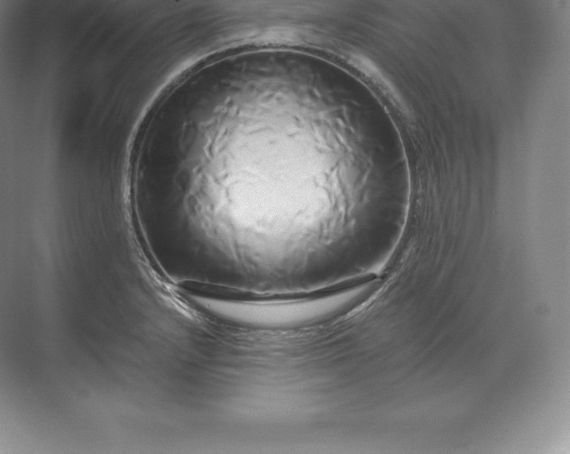 X0000071381232200607071833