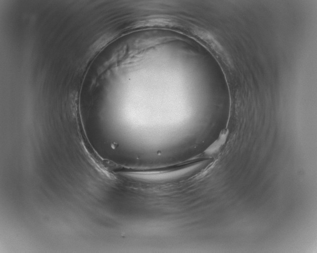 X0000071381233200607071833