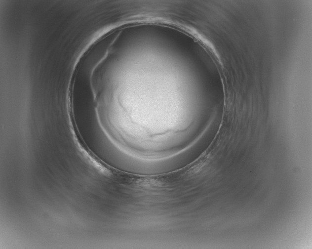 X0000071381239200607071833