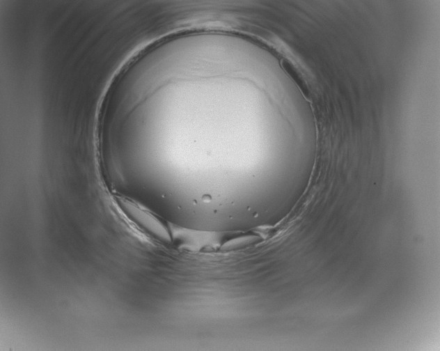 X0000071381240200607071833