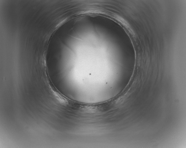 X0000071381241200607071833