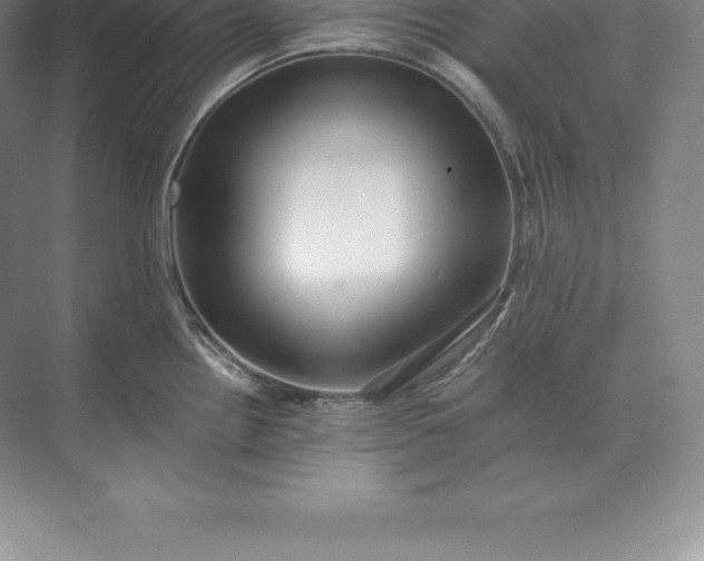 X0000071381242200607071833