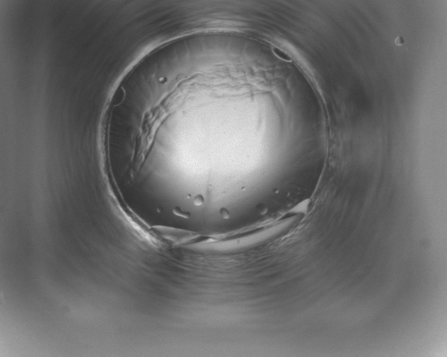 X0000071381243200607071833