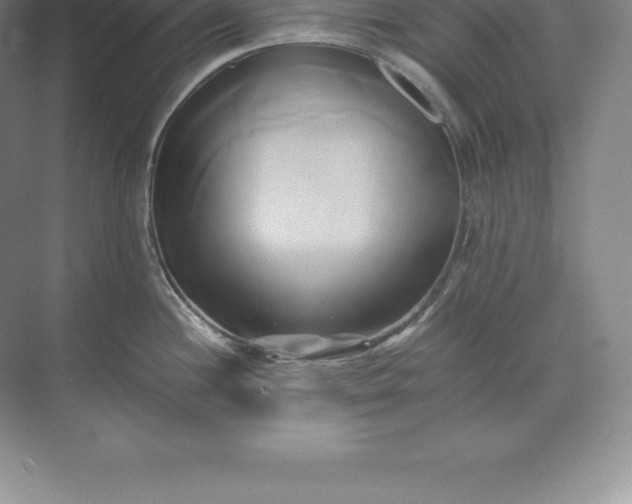 X0000071381244200607071833