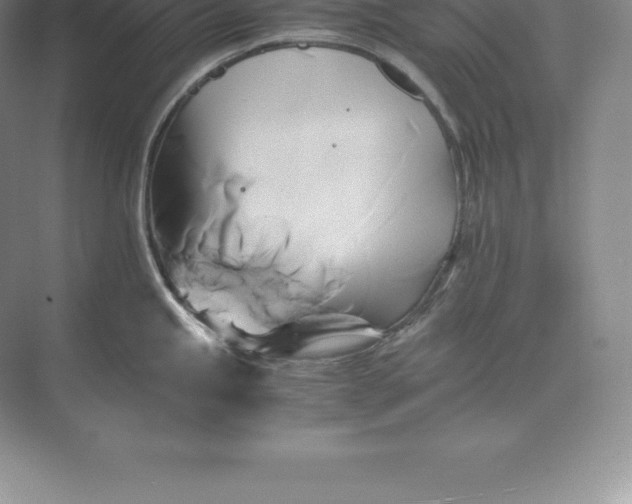 X0000071381245200607071833