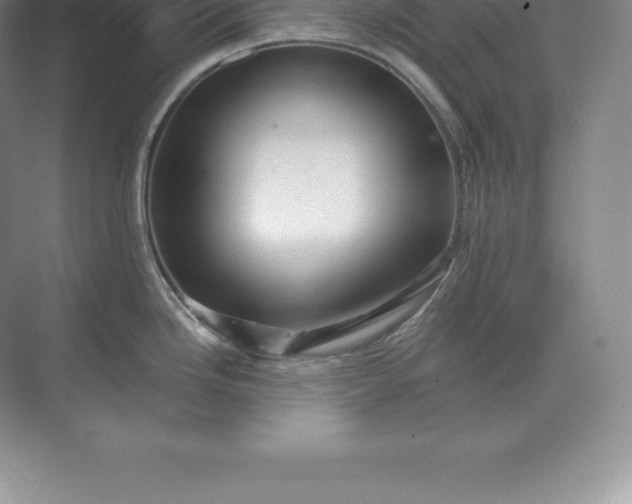 X0000071381246200607071833