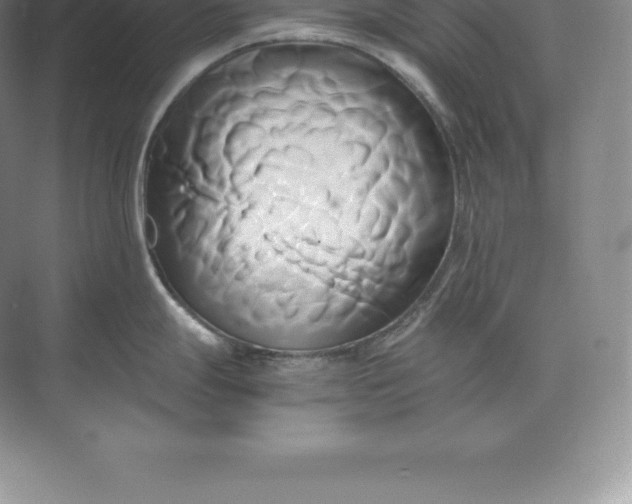 X0000071381247200607071833