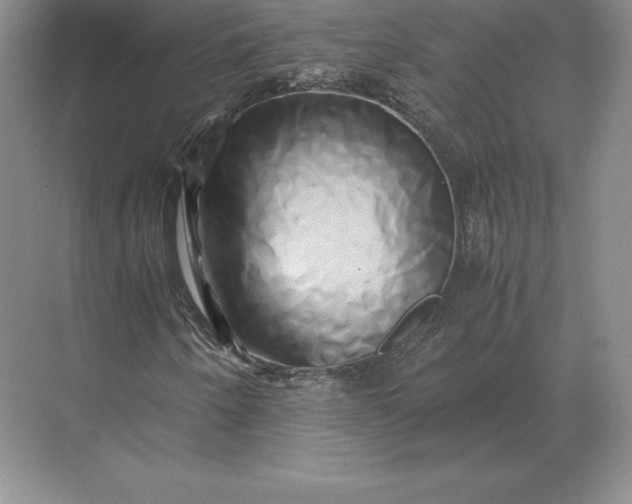 X0000071381250200607071833