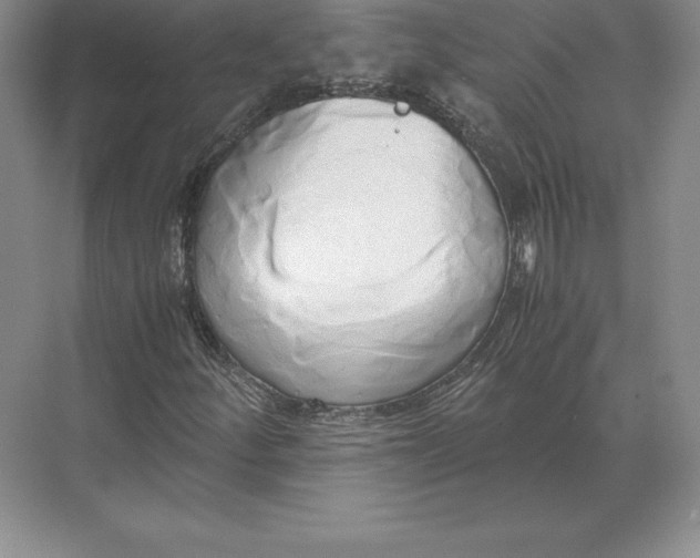 X0000071381252200607071832