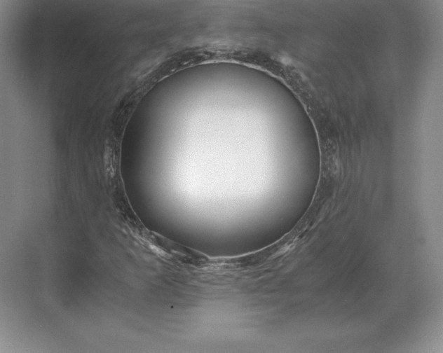 X0000071381253200607071832