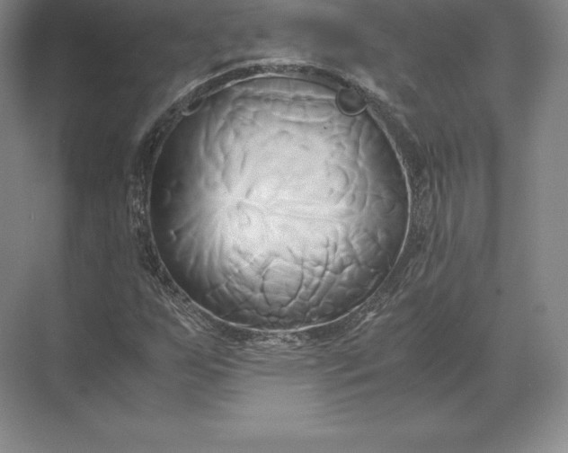 X0000071381255200607071832