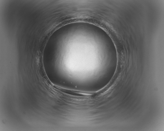 X0000071381257200607071832