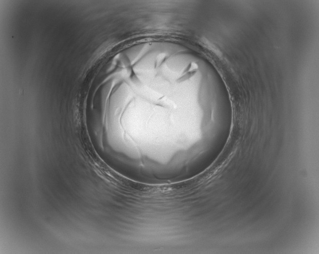 X0000071381259200607071832