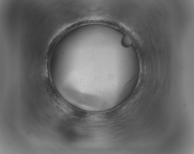 X0000071381262200607071832