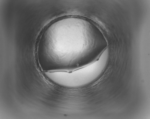 X0000071381264200607071832