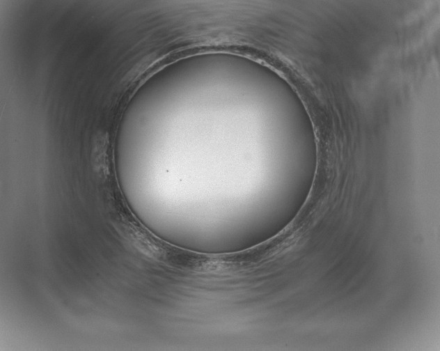 X0000071381265200607071832