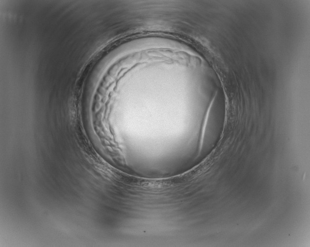 X0000071381266200607071832