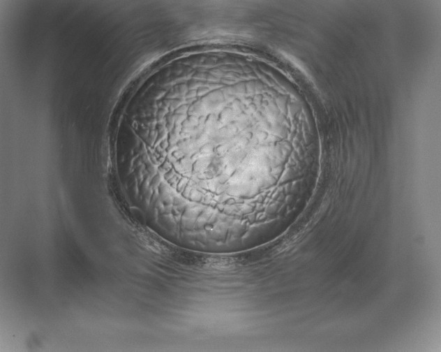 X0000071381267200607071832