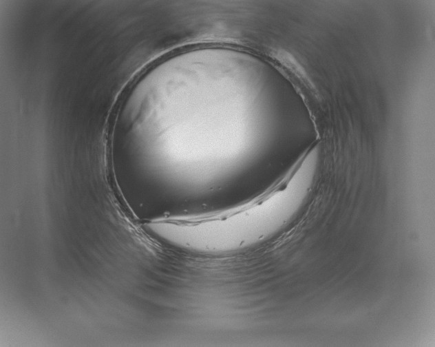 X0000071381268200607071832