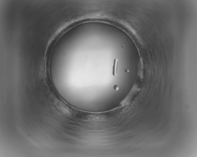 X0000071381270200607071832