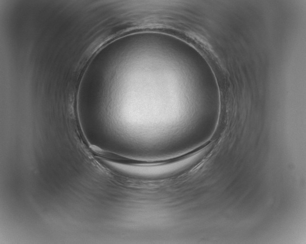 X0000071381273200607071832