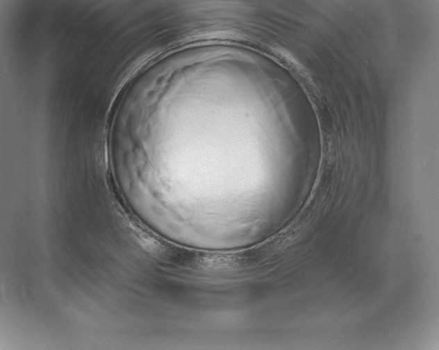 X0000071381274200607071832