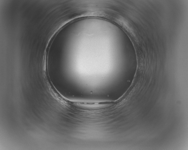 X0000071381276200607071832