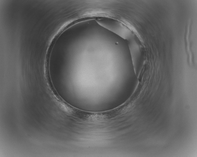 X0000071381277200607071832