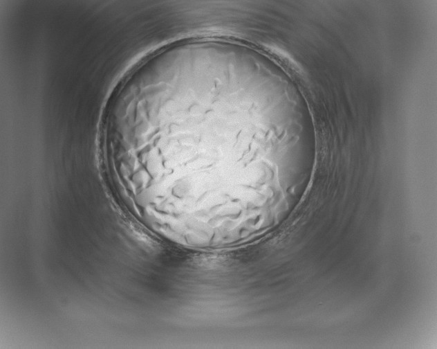 X0000071381278200607071832